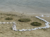 Arteterapia_2012_135.jpg